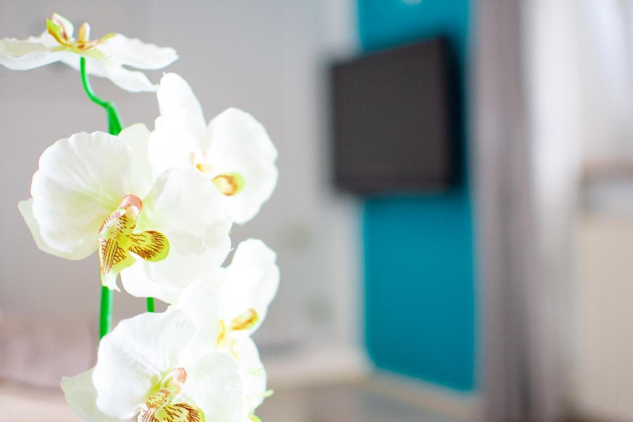 App Roko 2 Apartment Porec Bagian luar foto